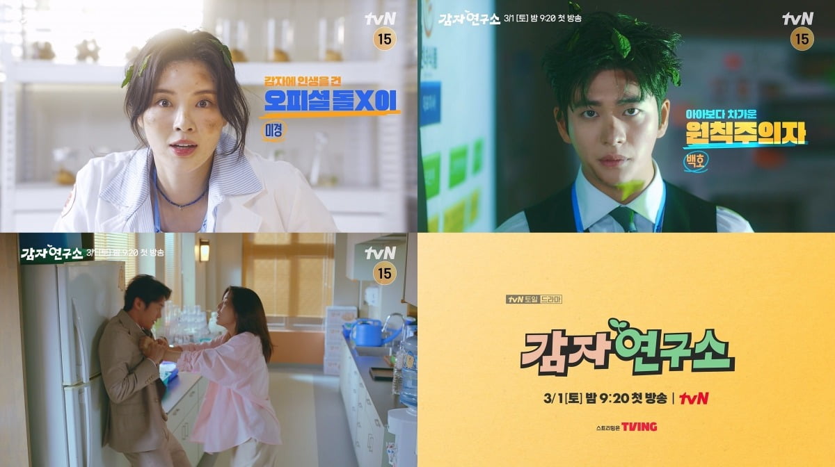 사진=tvN 제공