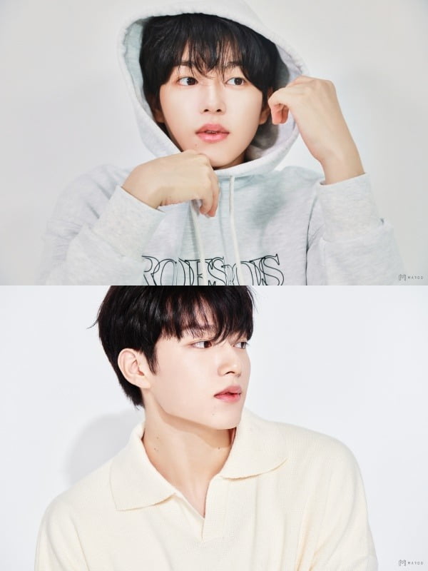 사진=마루기획 제공