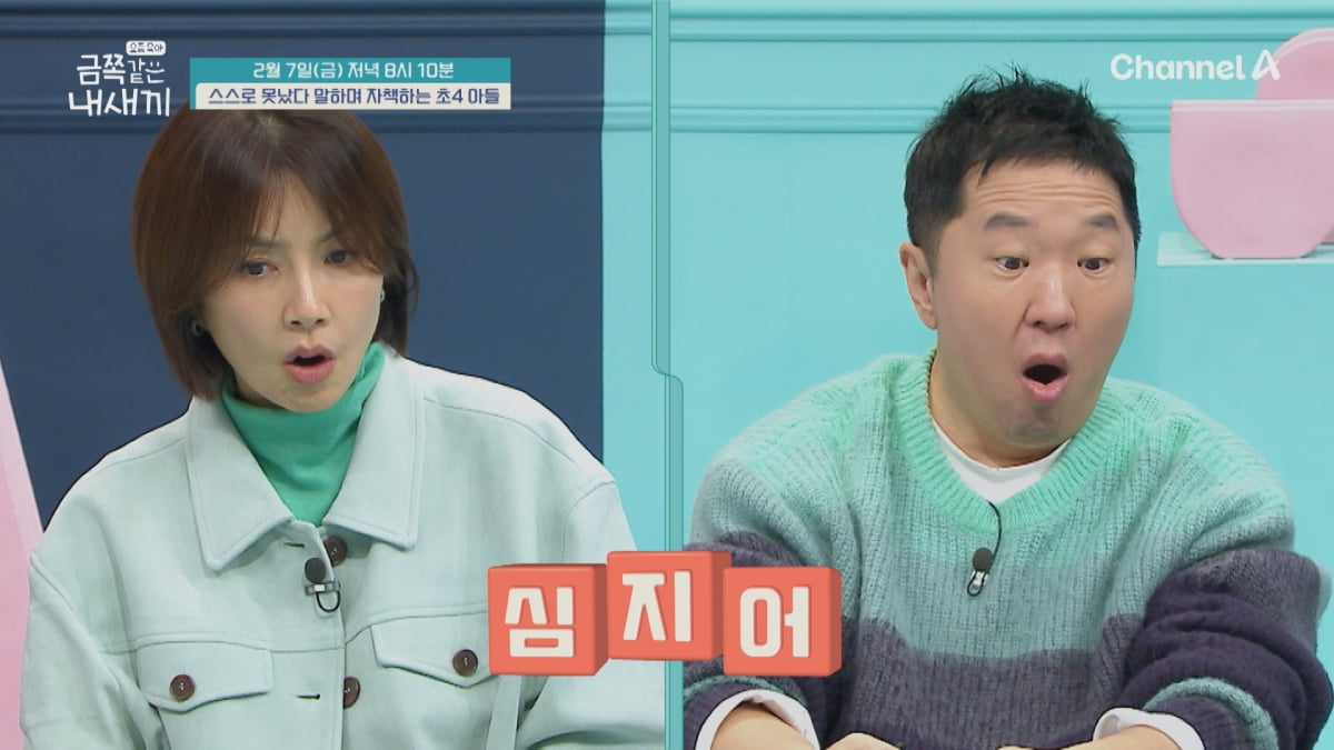 폭력적이거나 소심하거나…오은영, 초4 금쪽이 보는 표정 '심각'('금쪽같은')