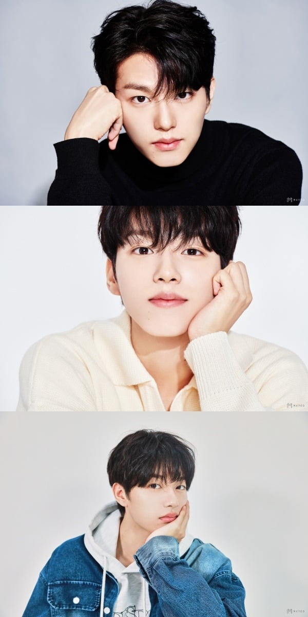 사진=마루기획 제공