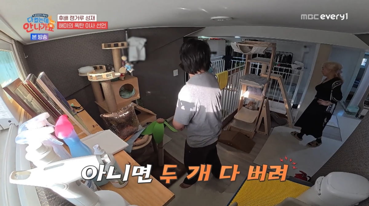 사진=MBC에브리원 '다 컸는데 안 나가요'