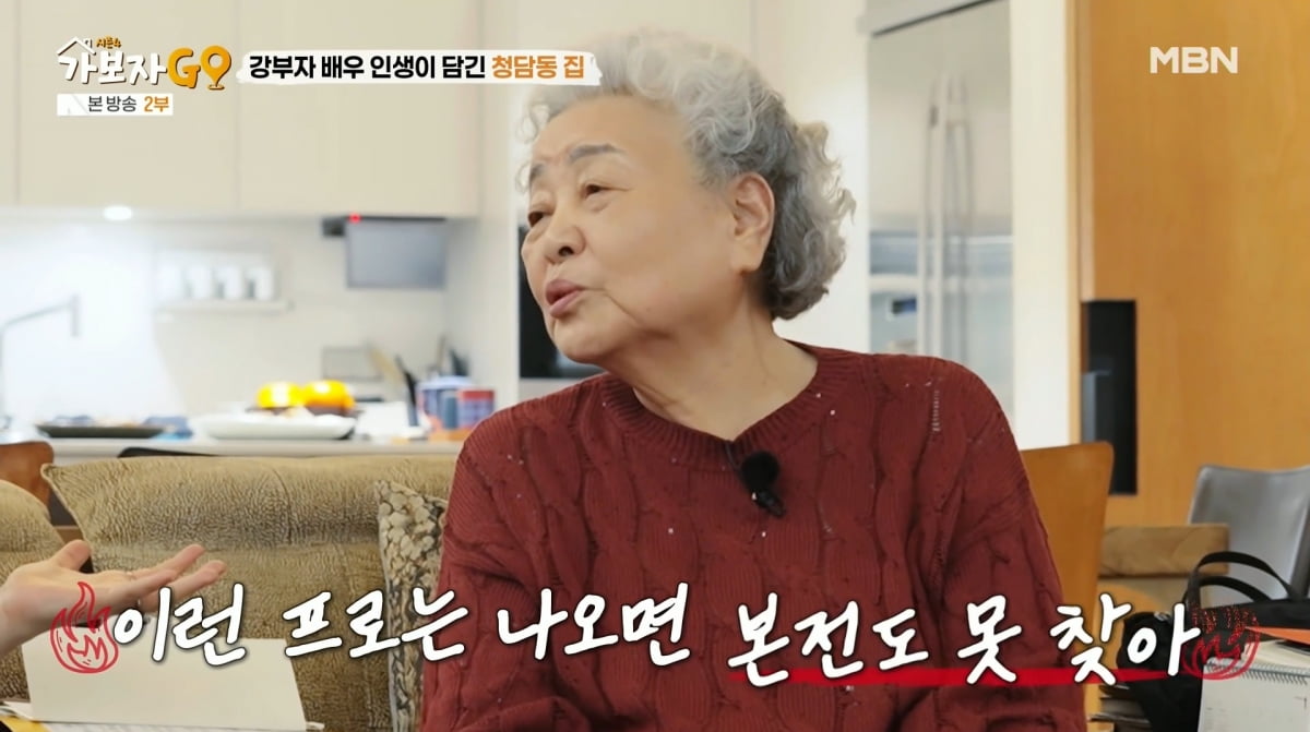 사진=MBN '가보자GO'