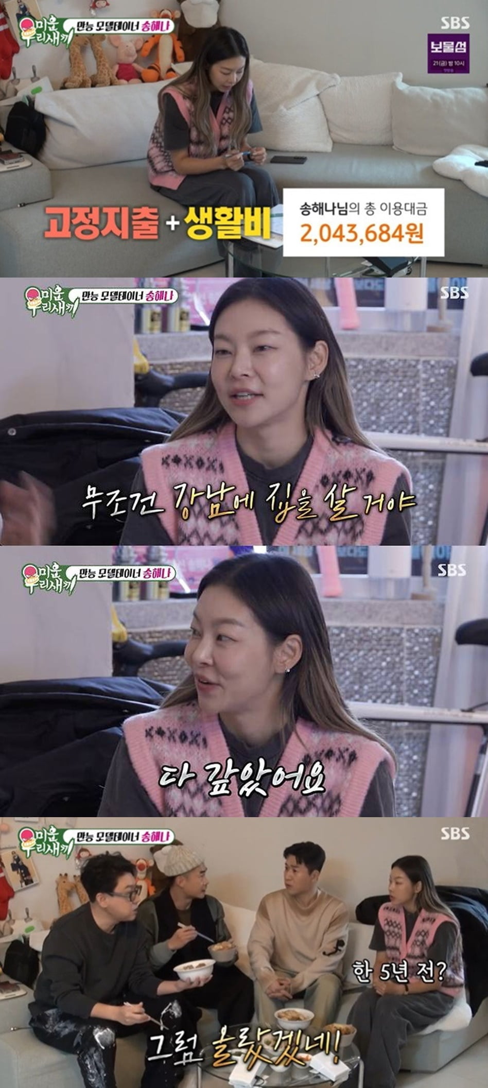 [종합] '38세' 송해나, '강남 자가' 집값 올랐다더니…"카드값 204만원, 대출 없어" ('미우새') 