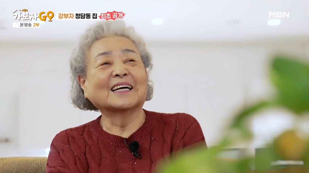 [종합] "돈 남아날 일 없어"…강부자, 故 이병철 회장 덕에 건물도 생길 뻔('가보자GO')
