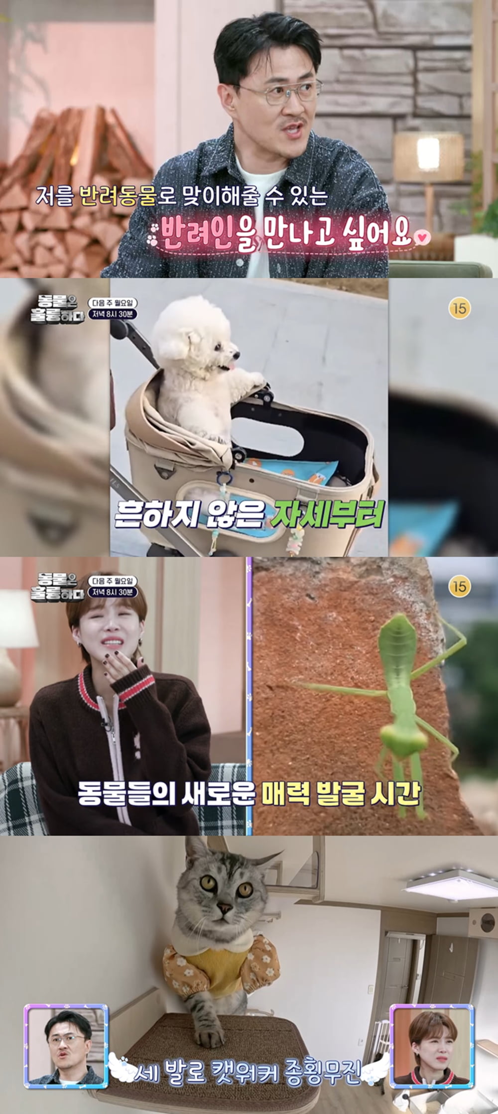 '48세' 데프콘, 17세 연하와 ♥핑크빛 터지더니…깜짝 고백 "올해는 반려인과" ('동훌륭')