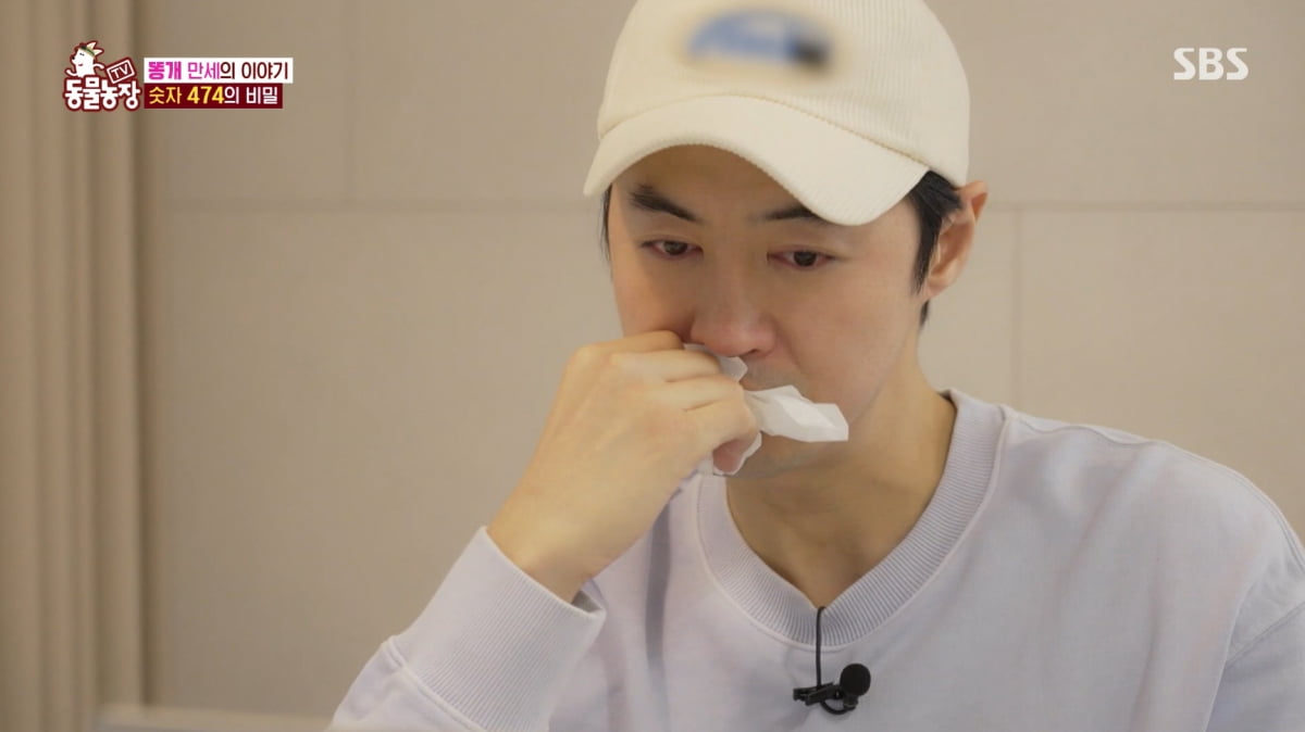 [종합] '결혼 5년' 전진♥류이서, 과거 알고 눈물 쏟았다…"해맑아서 마음 아파"('동물농장')