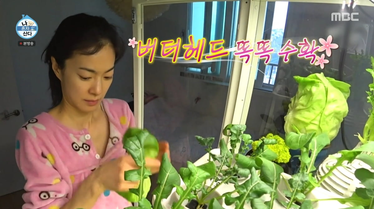사진=MBC '나 혼자 산다'