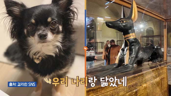 사진 제공=채널S, SK브로드밴드, K·star, NXT