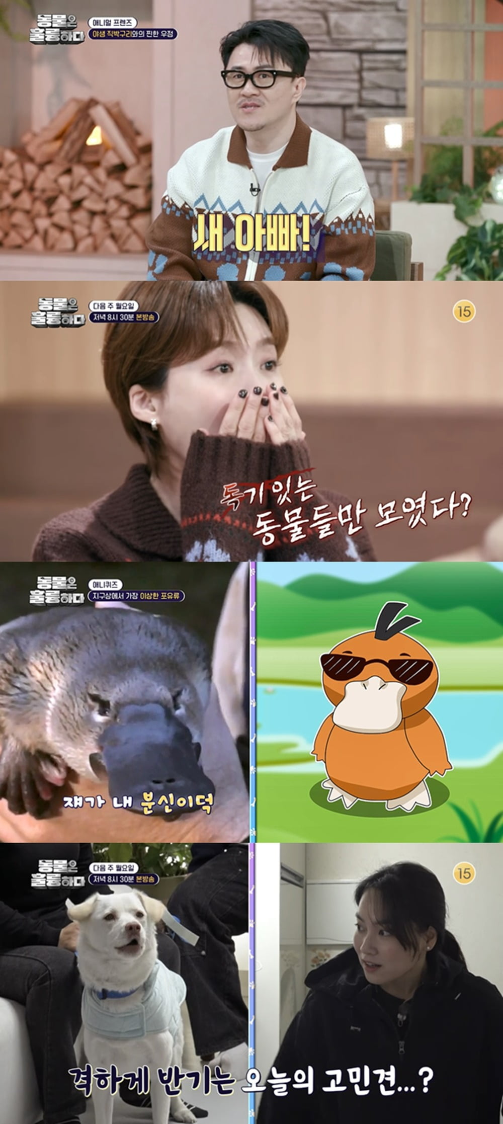 사진제공=KBS