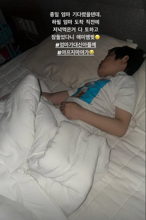 사진=안선영 SNS