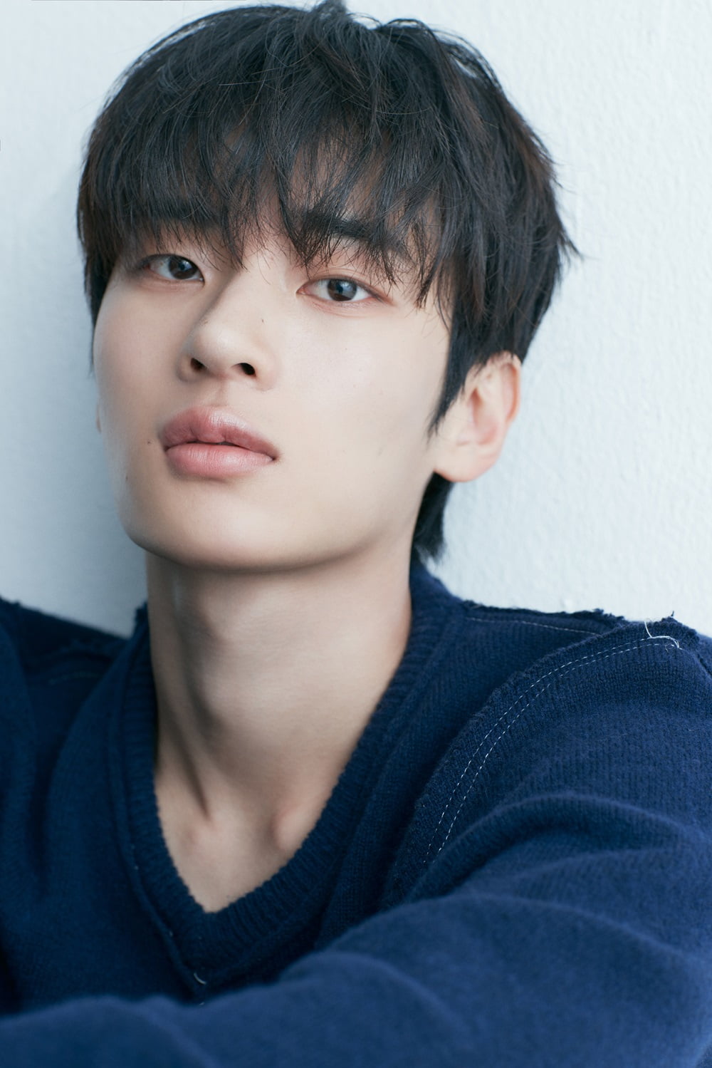 사진 제공=안컴퍼니