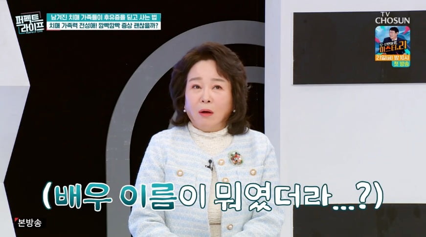 사진 = TV CHOSUN '퍼펙트 라이프'