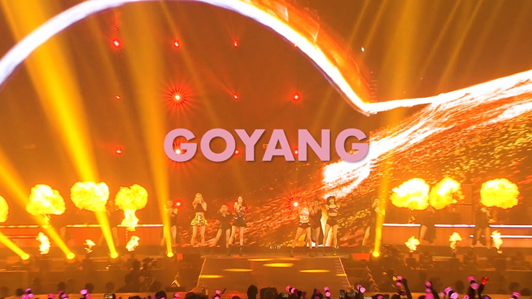 /사진 = YG엔터테인먼트