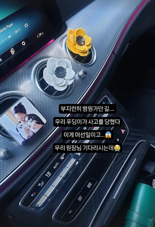 사진=고은아 SNS