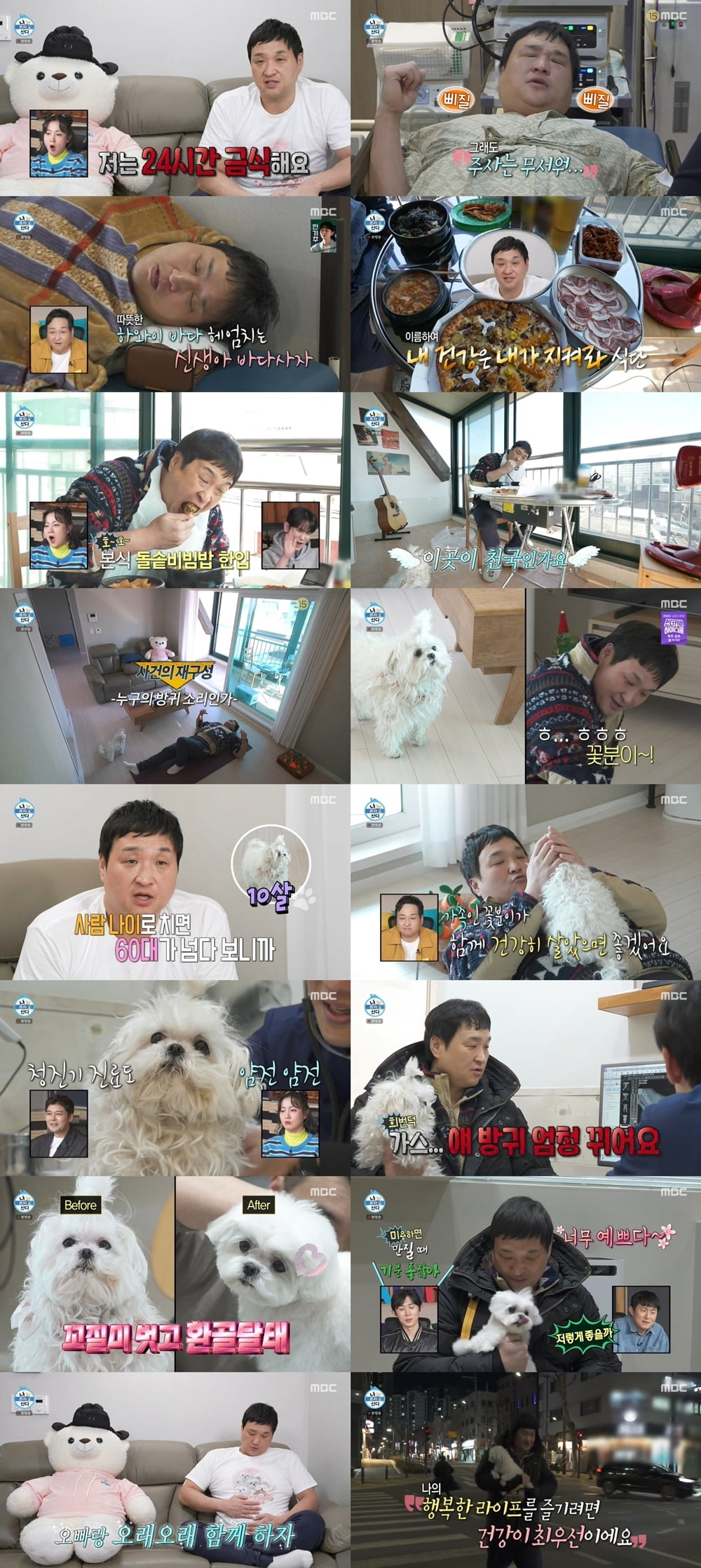 [종합] 구성환, 반려견 방치 논란 터지더니…꽃분이 병원 데려갔다 '환골탈태' ('나혼산')  