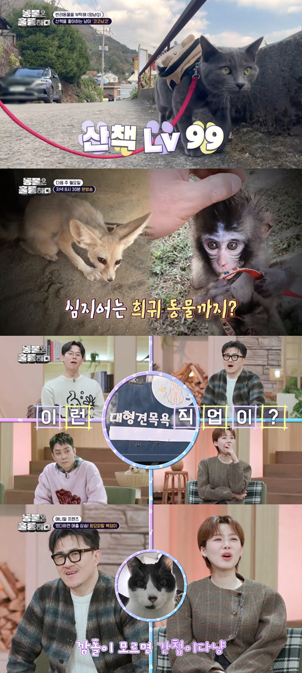 [사진 = KBS 제공]