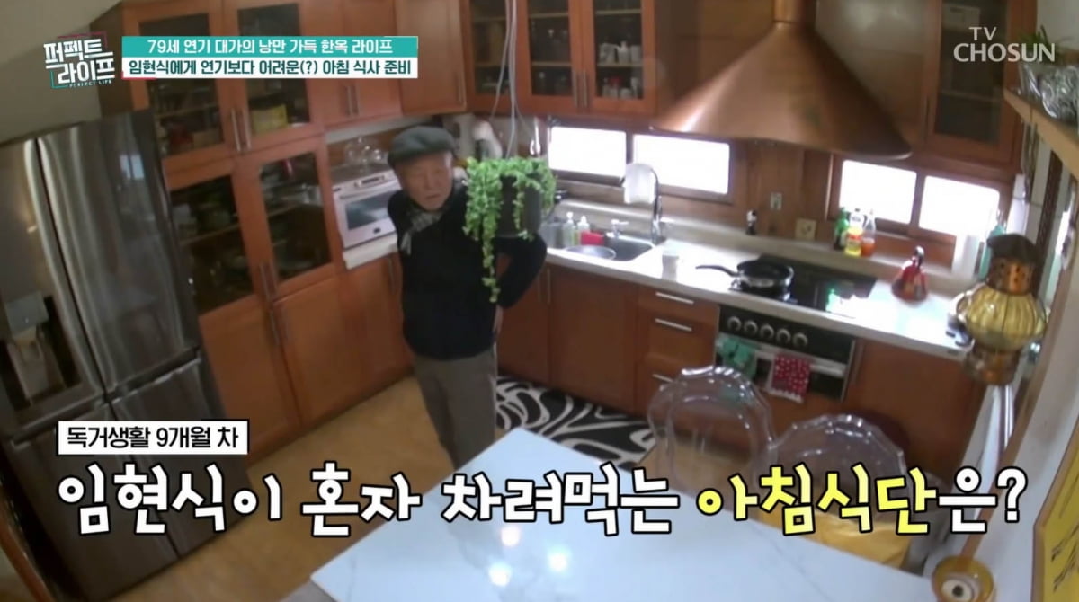 [종합] '80세' 임현식, 새장가 계획 밝혔다…"이상형=아들·딸 낳을 분"('퍼펙트라이프')