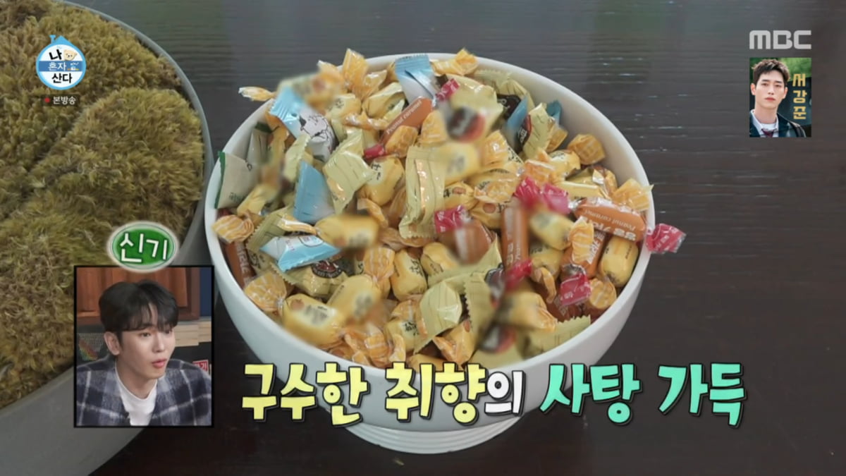사진=MBC '나 혼자 산다' 방송 캡처