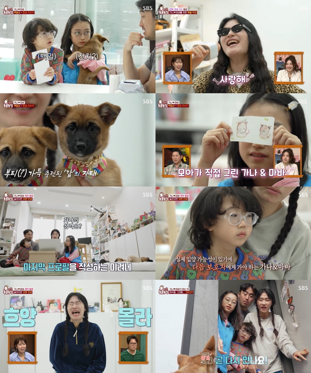 사진 제공=SBS 'TV동물농장'