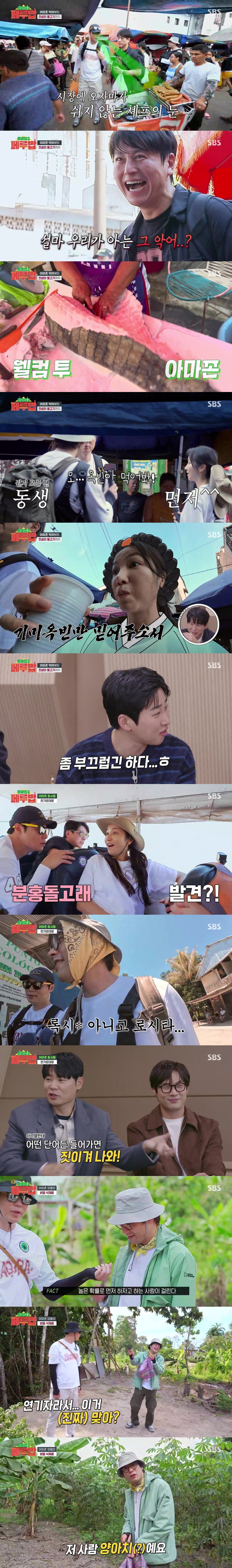 페루밥