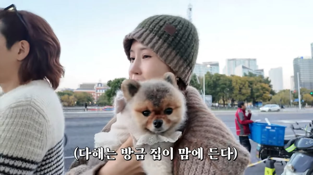 사진=유튜브 '1+1=이다해'