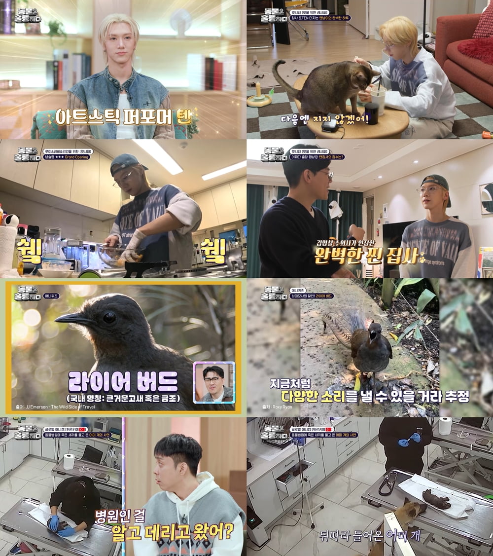 사진=KBS 2TV '동물은 훌륭하다' 방송 캡처