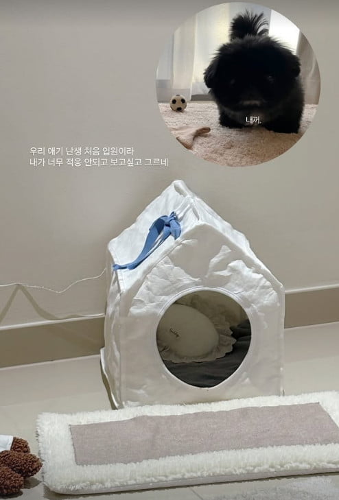 사진=소연 SNS