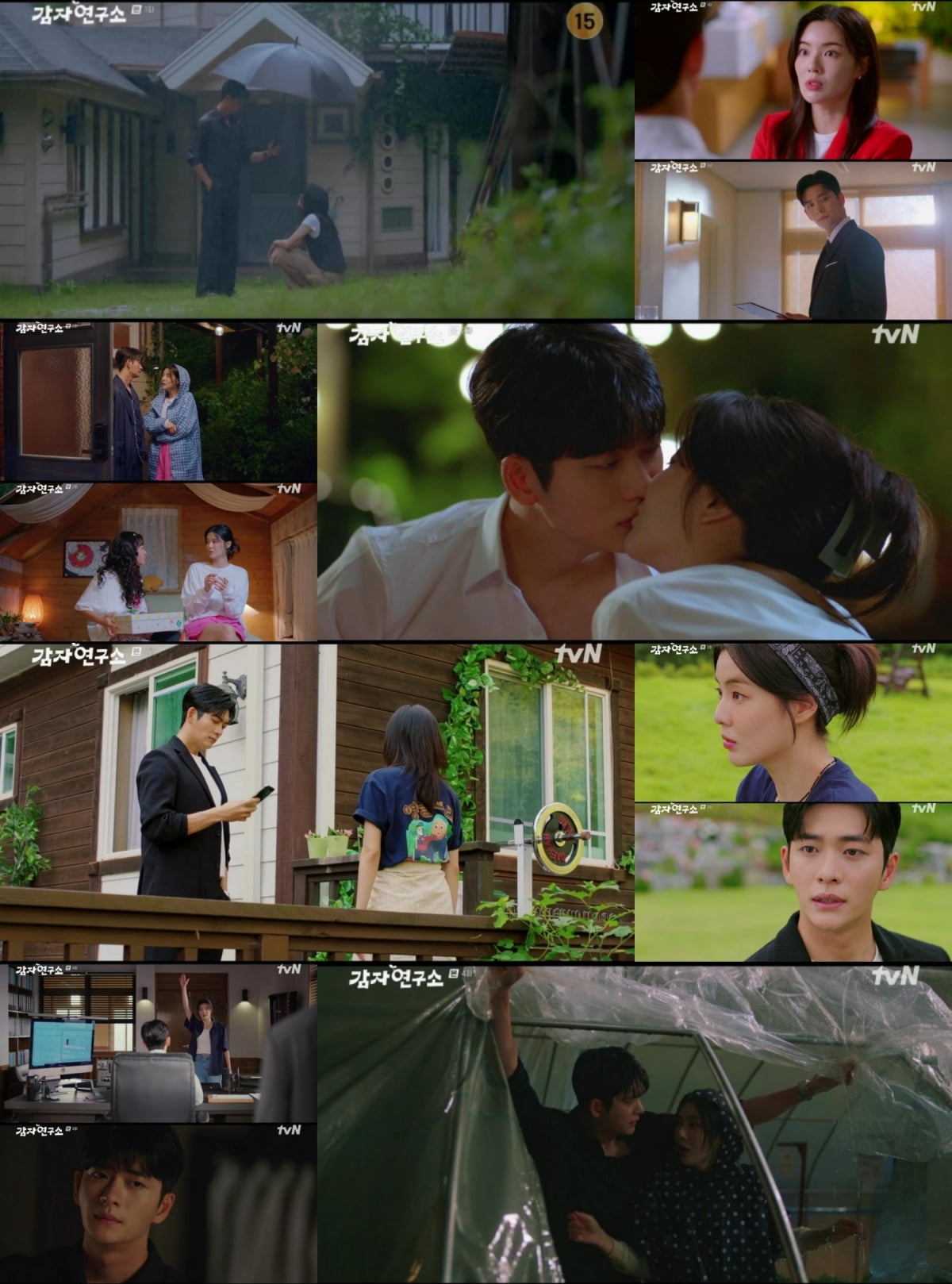 사진 제공 = tvN ‘감자연구소’ 방송 캡처