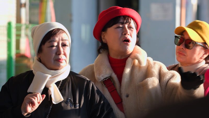 박원숙의 같이 삽시다