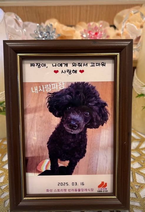 사진=송해나 SNS