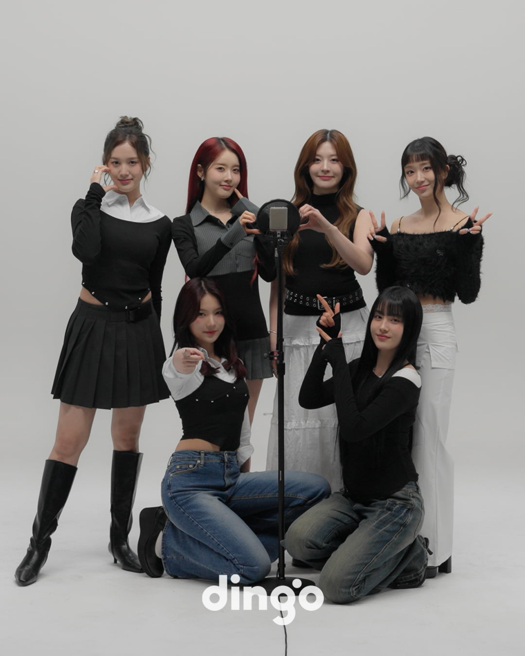 사진 제공 = 딩고