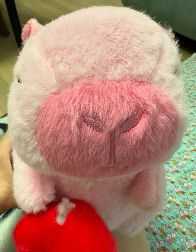 사진=박봄 SNS