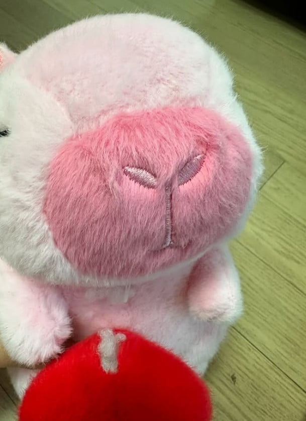 사진=박봄 SNS