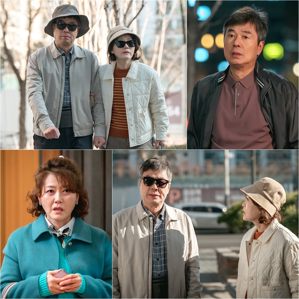사진 제공=KBS 1TV '대운을 잡아라'