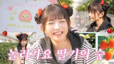 '인간 딸기' 아이브 레이, 딸기 100만 원어치 섭렵→"못 먹으면 어지러워" ('따라해볼레이')