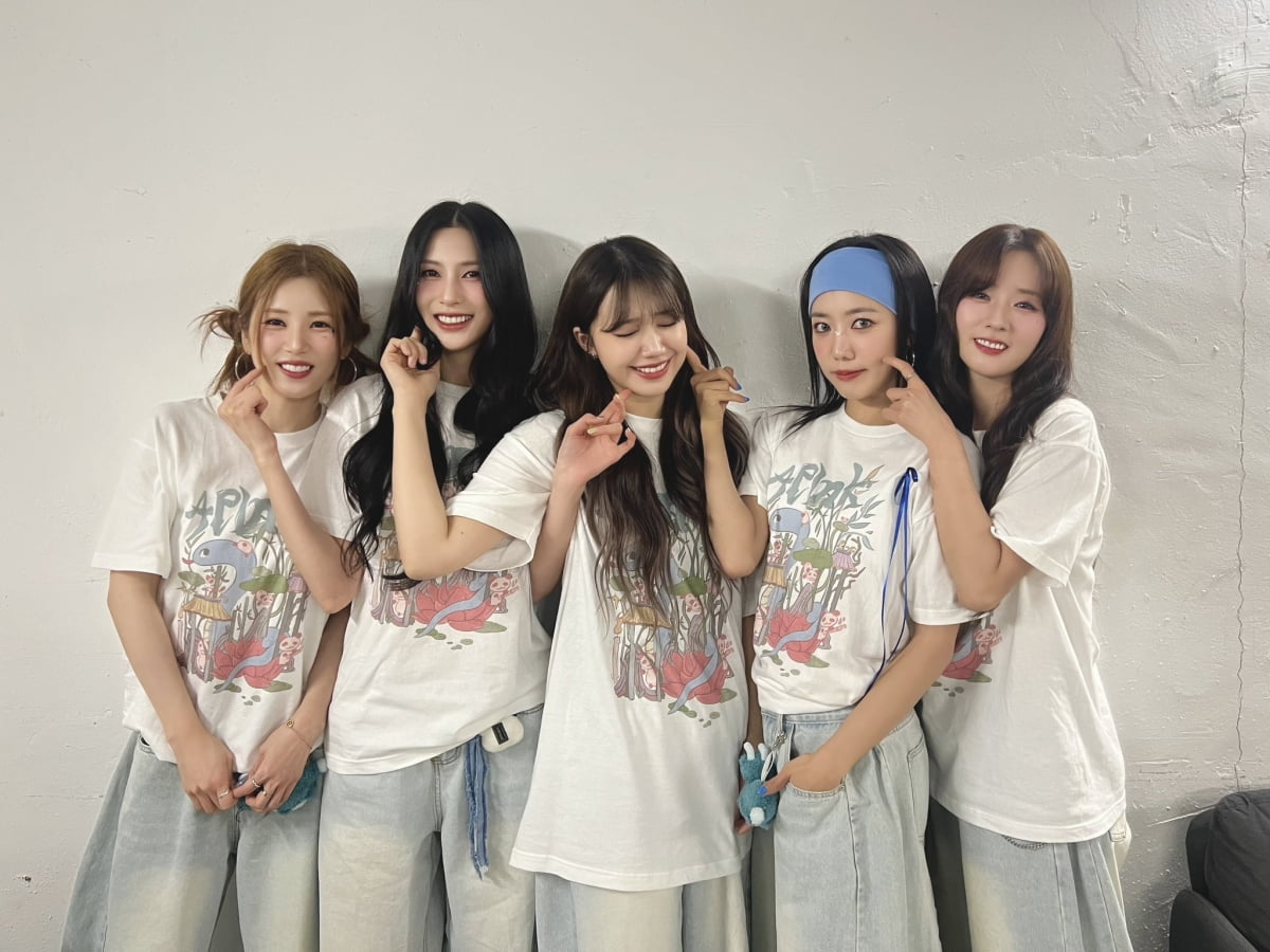 에이핑크/ 사진 제공 = 초이크리에이티브랩