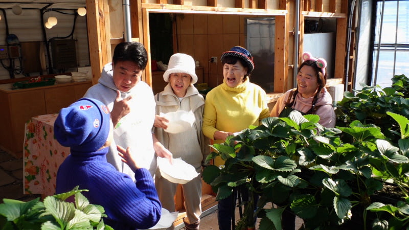 사진 제공=KBS 2TV '박원숙의 같이 삽시다' 