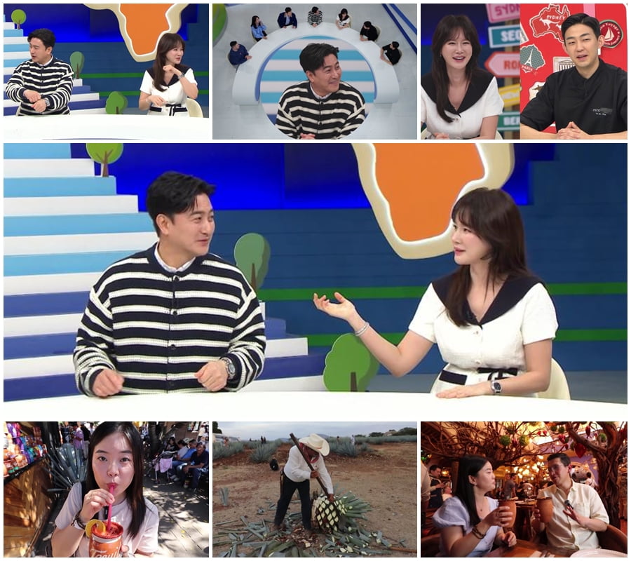 사진 제공=채널A '선 넘은 패밀리'