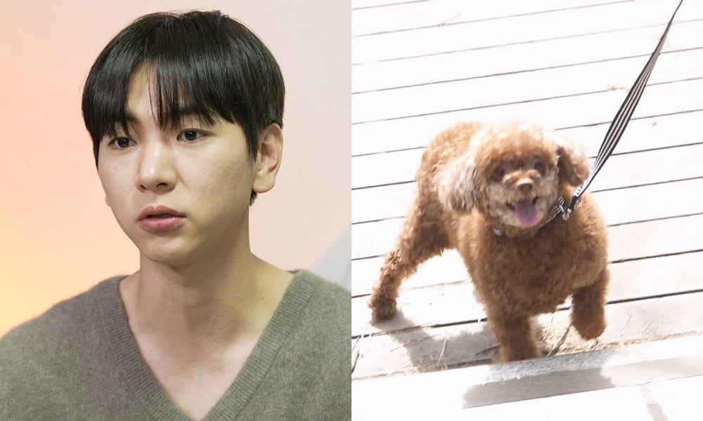 이주승, '8kg 벌크업' 애증의 절친은 요지부동…"널 들고 갈 힘 없어"('나혼자산다')