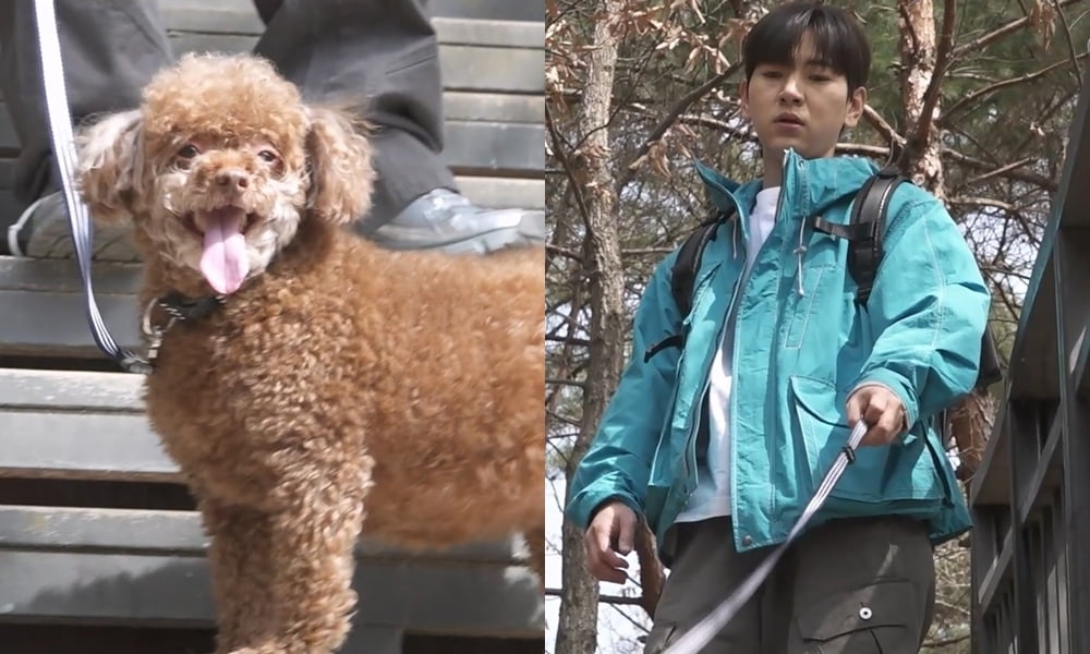 이주승, '8kg 벌크업' 애증의 절친은 요지부동…"널 들고 갈 힘 없어"('나혼자산다')