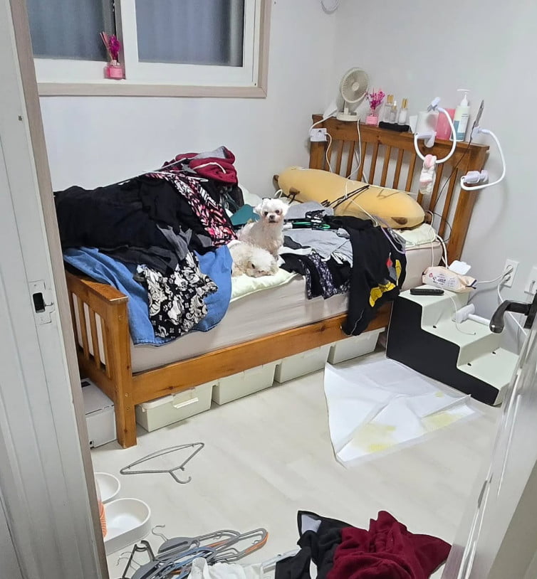 사진=수지 씨 SNS