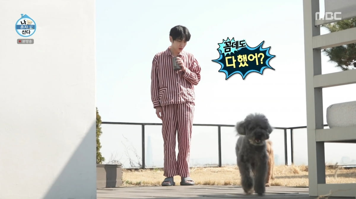 사진=MBC '나 혼자 산다'
