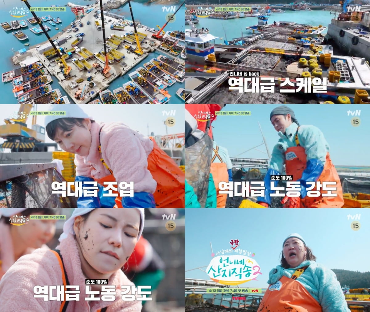 사진 제공=tvN