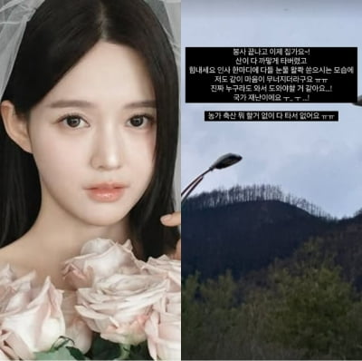 봉사 떠난 남보라 "누구라도 와서 도와야 될 것 같아" 호소