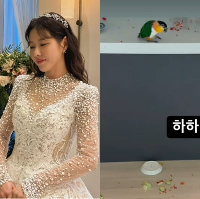 '6월 결혼 예정' 박하나, 앵무새 5마리 키운다더니…집 난리났네