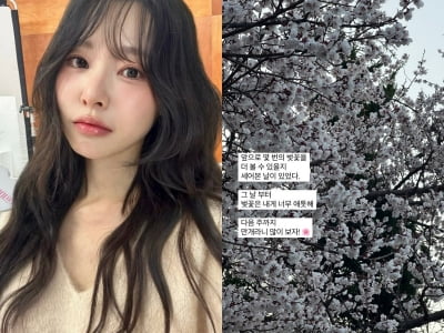 '박성광♥' 이솔이, 암 투병 고백 후 벚꽃맞이…"몇 번 더 볼 수 있을지"