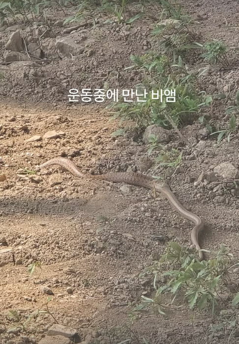 사진=정주리 SNS