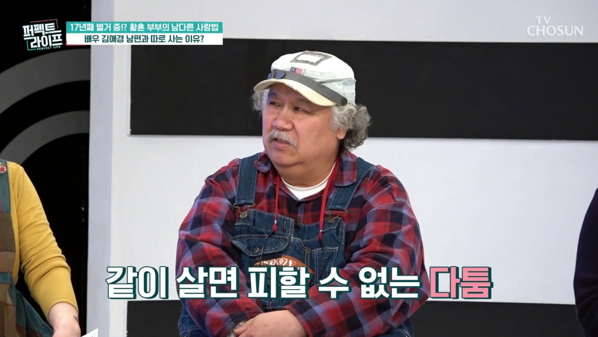 김애경, ♥남편과 각집살이 중이었다…"같이 사니 불편해"('퍼펙트 라이프')
