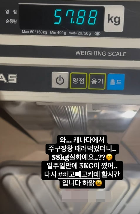 사진=안선영 SNS