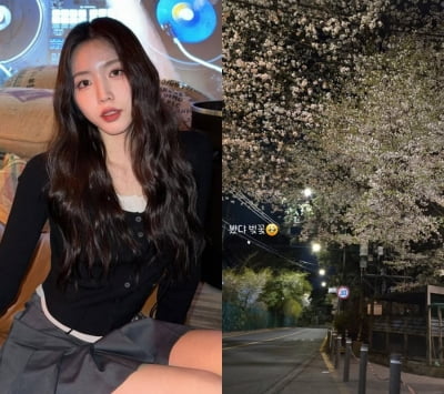 성해은, 벚꽃 나들이에 '눈물 글썽'…결별설에 무게 더 싣었다